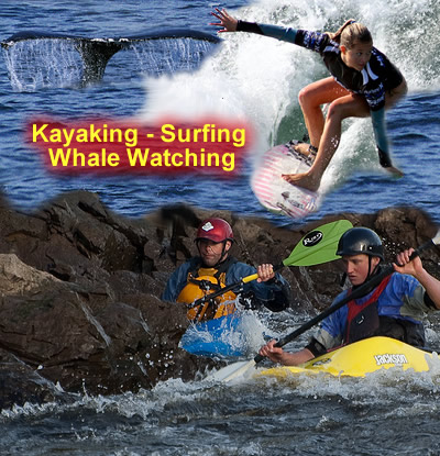kayaking surfing whale watching